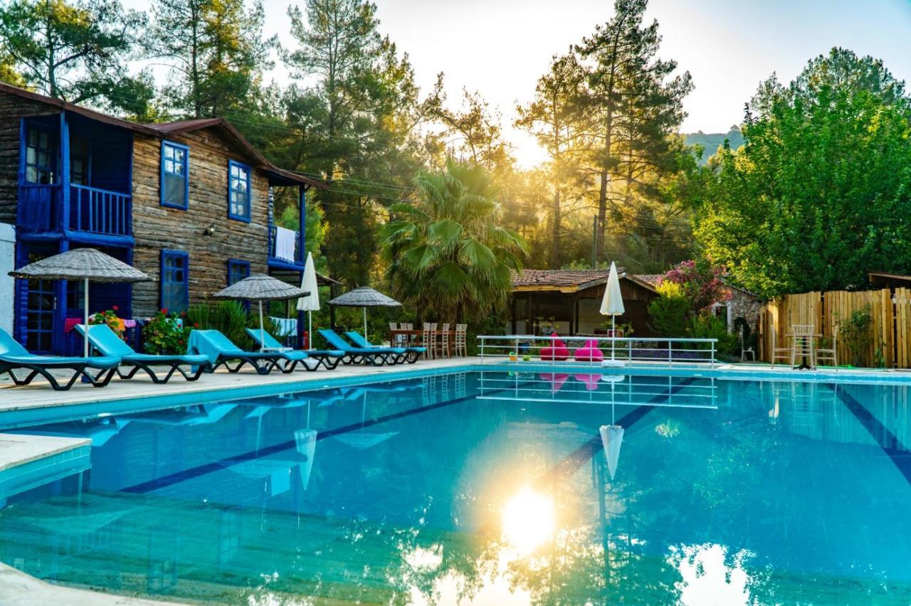 Olympos Forest House Otel Yazir  Dış mekan fotoğraf